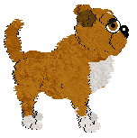 FDL's Southpaw Knockout — “Barric”