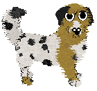 Dandy/FDL's Golly Gee Willikers — “Willikers”