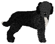 Profile image of Dragosani CURLY HEAVEN