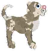 Cargo/FK’s Hearts and Thrones Both Break — “Reign”