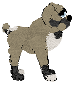 Sungraze Old Wives' Tale — “Lucindra”