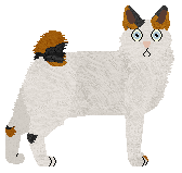 Profile image of Tsuru’s Mi-Ke no Yume