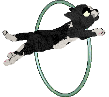 Calluna's Sweetened with Demerara — “Cubano”