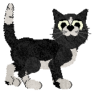 Calluna's Sweetened with Demerara — “Cubano”