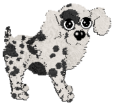 Profile image of SWKM/Poppyhill's Twice As Lovely