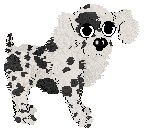 SWKM/Poppyhill's Twice As Lovely — “Dolores”