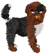 Sungraze Crown of Avenor @ Mockingbird — “Avenor”