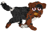 Sungraze Crown of Avenor @ Mockingbird — “Avenor”