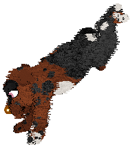 Sungraze Crown of Avenor @ Mockingbird — “Avenor”