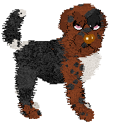 Profile image of Sungraze Crown of Avenor @ Mockingbird