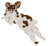 Xoops/Coriander's Cinnamon Brown Sugar — “Russet”