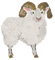 Profile image of Cirrutopia's Meadow Song