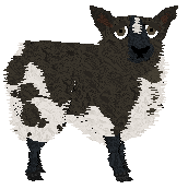 Profile image of Cirrutopia's Over Hill and Heather
