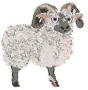 Profile image of Cirrutopia's Highland Wanderer