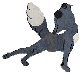 King/Tangled's Tis the Wind and Nothing More — “Tapping”