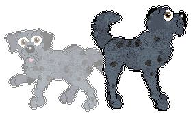 Profile image of Chachke's True Blue