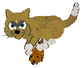 JC/Mockingbird's Frost Whisker — “Blizzard”