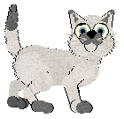 Profile image of Rainy A Night Out @ Mockingbird