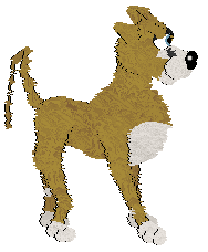 Boheme's Experience Amazing @ Mockingbird — “Buhl”