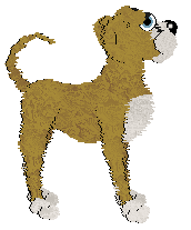 Boheme's Experience Amazing @ Mockingbird — “Buhl”