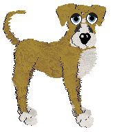 Profile image of Boheme's Experience Amazing @ Mockingbird