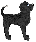 Tea/Amphigory’s Mark of the Midnight Muse — “Dipstick”