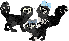 Profile image of Krunchez/Amphigory’s Twilight Over the Moors