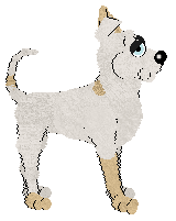 Tea/Amphigory’s Rhythm in Code — “Synth”