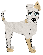 Tea/Amphigory’s Rhythm in Code — “Synth”