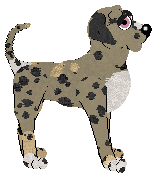 Tea/Amphigory’s Cosmic Overlord of Cushions — “Prince”