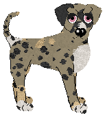 Tea/Amphigory’s Cosmic Overlord of Cushions — “Prince”