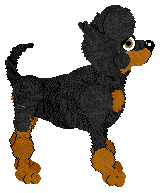 WAA/Amphigory’s Nightfall Tapestry — “Quorrae”