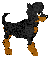 WAA/Amphigory’s Nightfall Tapestry — “Quorrae”