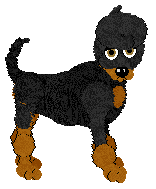 WAA/Amphigory’s Nightfall Tapestry — “Quorrae”