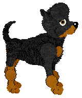 WAA/Amphigory’s Nightfall Tapestry — “Quorrae”