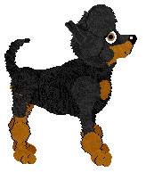 WAA/Amphigory’s Nightfall Tapestry — “Quorrae”