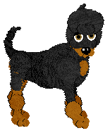 WAA/Amphigory’s Nightfall Tapestry — “Quorrae”