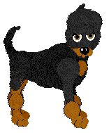 WAA/Amphigory’s Nightfall Tapestry — “Quorrae”