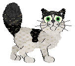 Billywix/Calluna's Wild Variable — “Wanda”