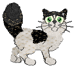 Profile image of Billywix/Calluna's Wild Variable