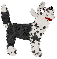 Poppyhill/Amenity's Featured on the Catwalk — “Turlington”