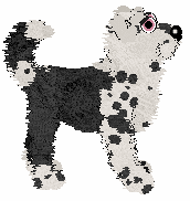 Poppyhill/Amenity's Featured on the Catwalk — “Turlington”