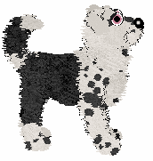 Poppyhill/Amenity's Featured on the Catwalk — “Turlington”