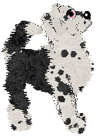 Poppyhill/Amenity's Featured on the Catwalk — “Turlington”