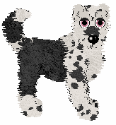 Poppyhill/Amenity's Featured on the Catwalk — “Turlington”