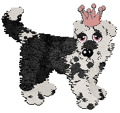 Profile image of Poppyhill/Amenity's Featured on the Catwalk