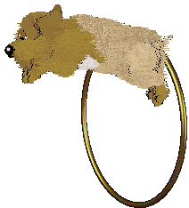 EC/Amphigory's Peachy Keen Jelly Bean — “Peach”