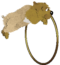 EC/Amphigory's Peachy Keen Jelly Bean — “Peach”