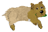 EC/Amphigory's Peachy Keen Jelly Bean — “Peach”