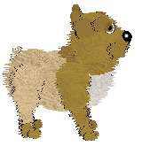 EC/Amphigory's Peachy Keen Jelly Bean — “Peach”